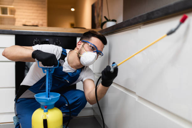 Trusted Rainier, OR Pest Control Experts