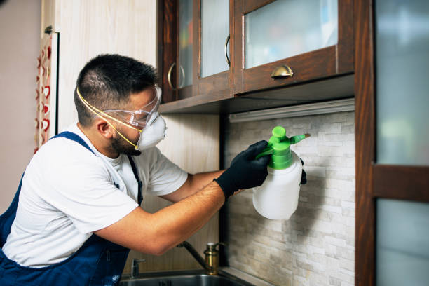 Best Best Pest Control Companies  in Rainier, OR