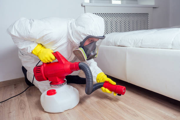 Best Pest Control for Homes  in Rainier, OR