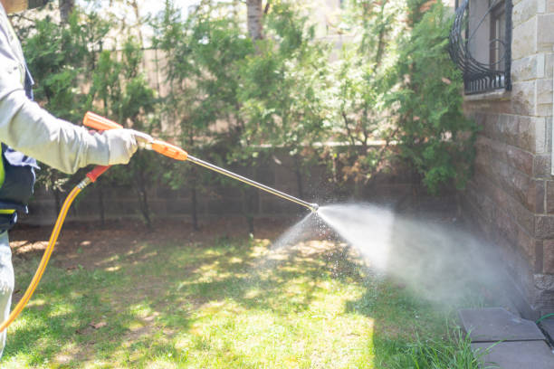 Wasp Removal Services in Rainier, OR